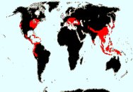 Distribucin mundial de Aquifoliaceae: Comprende 3 gneros y alrededor de 400 especies repartidas por las regiones templadas y tropicales, aunque poco representada en frica y Australia.