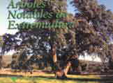 Arboles notables de Extremadura
