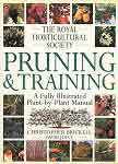 Pruning and training