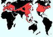 Distribución mundial de Aceraceae. Comprende 2 géneros y alrededor de 200 especies de regiones templadas boreales y zonas tropicales